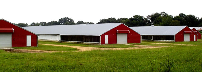 image of steel barn 80x100x20 by american-steelgarages.com
